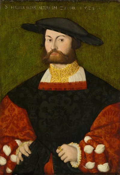 Portrait of Sebald Haller von Hallerstein by Hans Brosamer